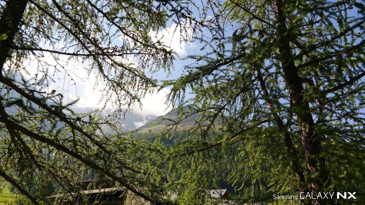Amber Ski-In/Out Hotel & Spa Saas Fee 외부 사진