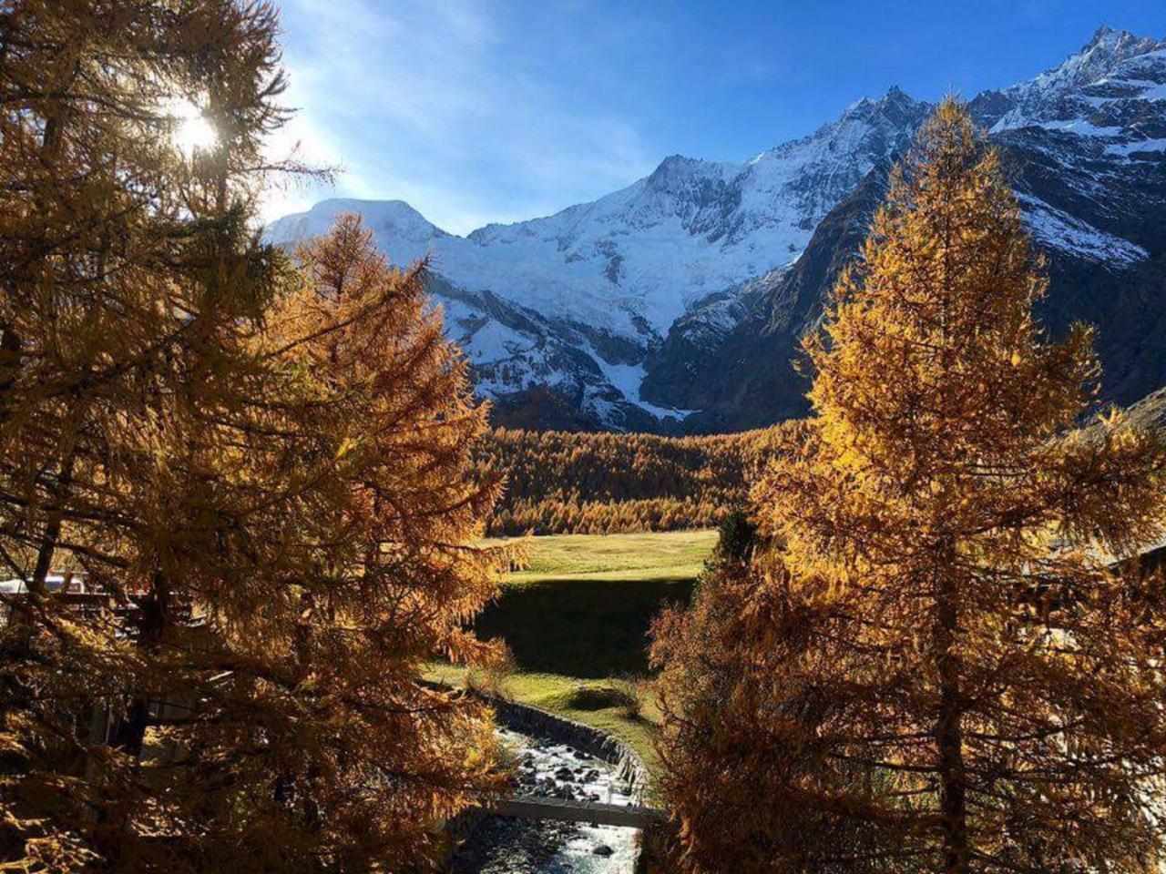 Amber Ski-In/Out Hotel & Spa Saas Fee 외부 사진